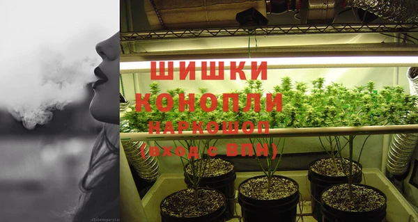 spice Бугульма